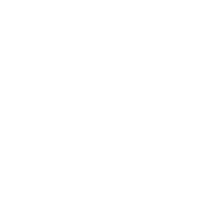 Erste Bank Logo