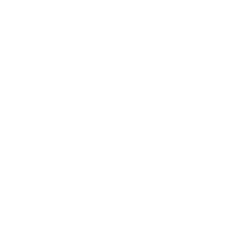 Plan International Logo