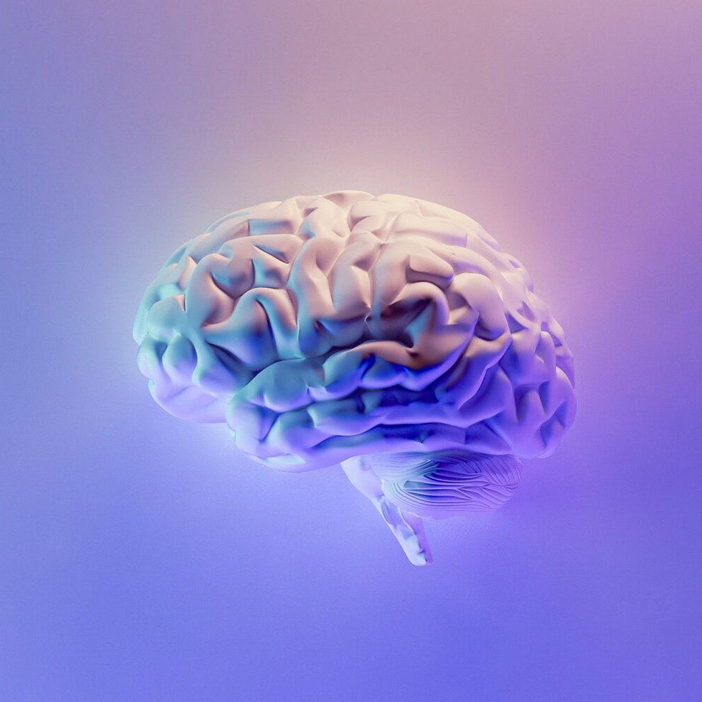 Ein farbenfrohes Gehirn auf künstlichem, bläulichen Hintergrund als Sinnbild für Künstliche Intelligenz. Bild von Milad Fakurian via Unsplash.