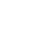 Adobe Analytics