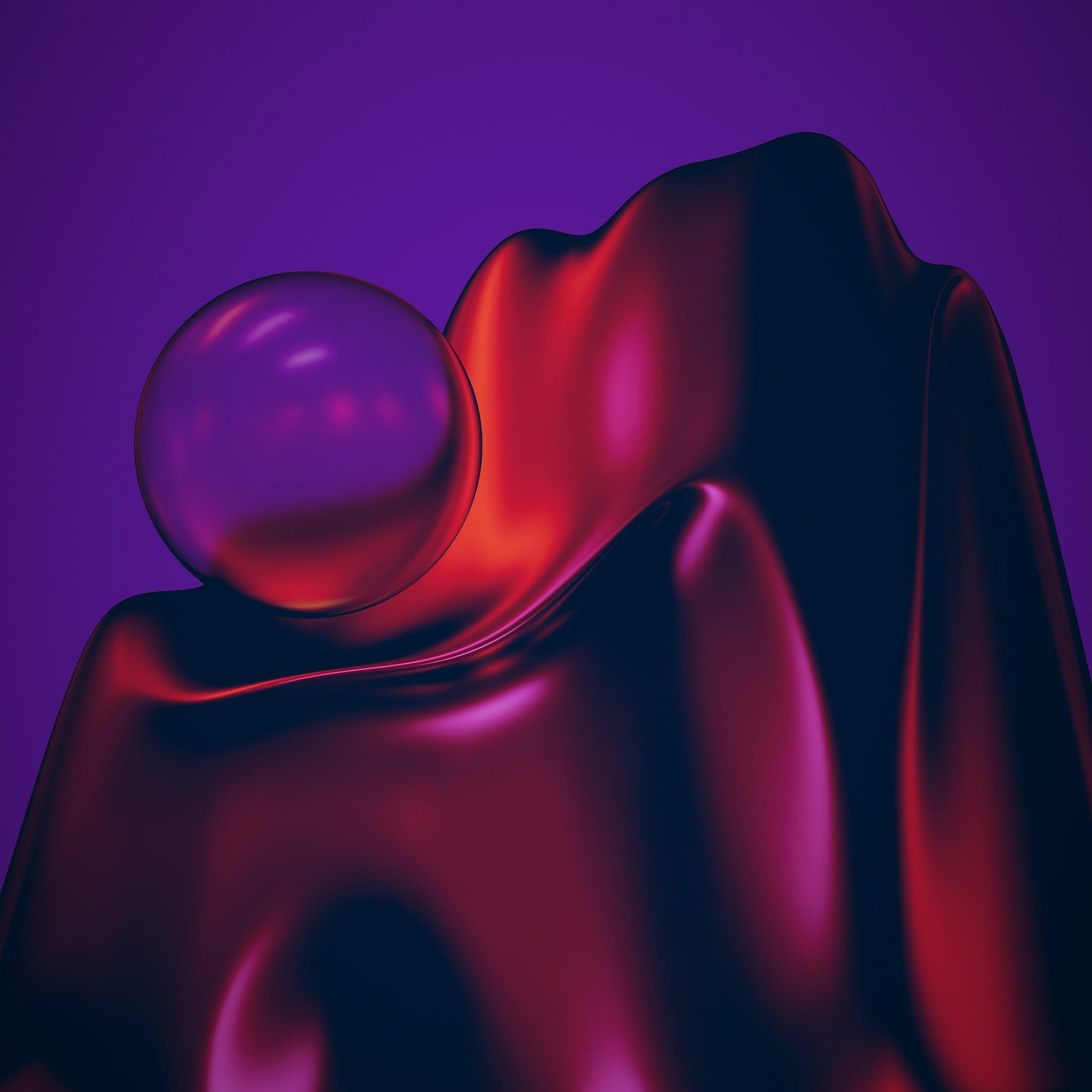 websites and webshops