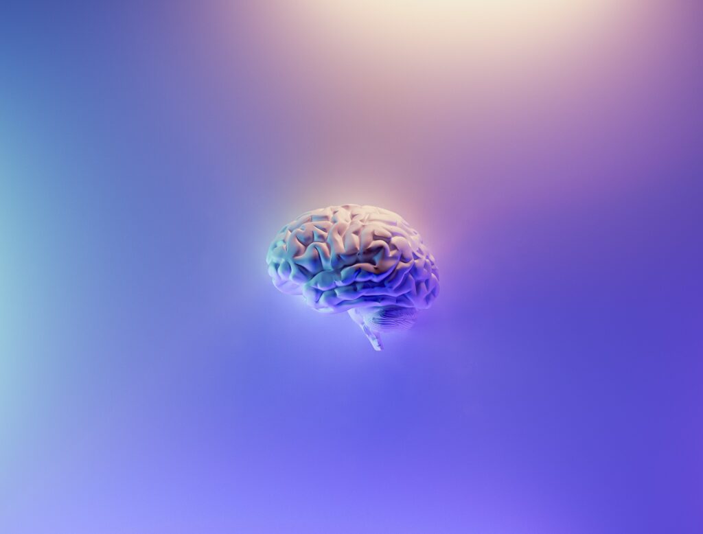 Colorful brain on an artificial, blue background. Picture by