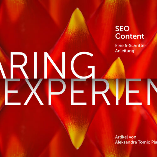 SEO Texte Anleitung