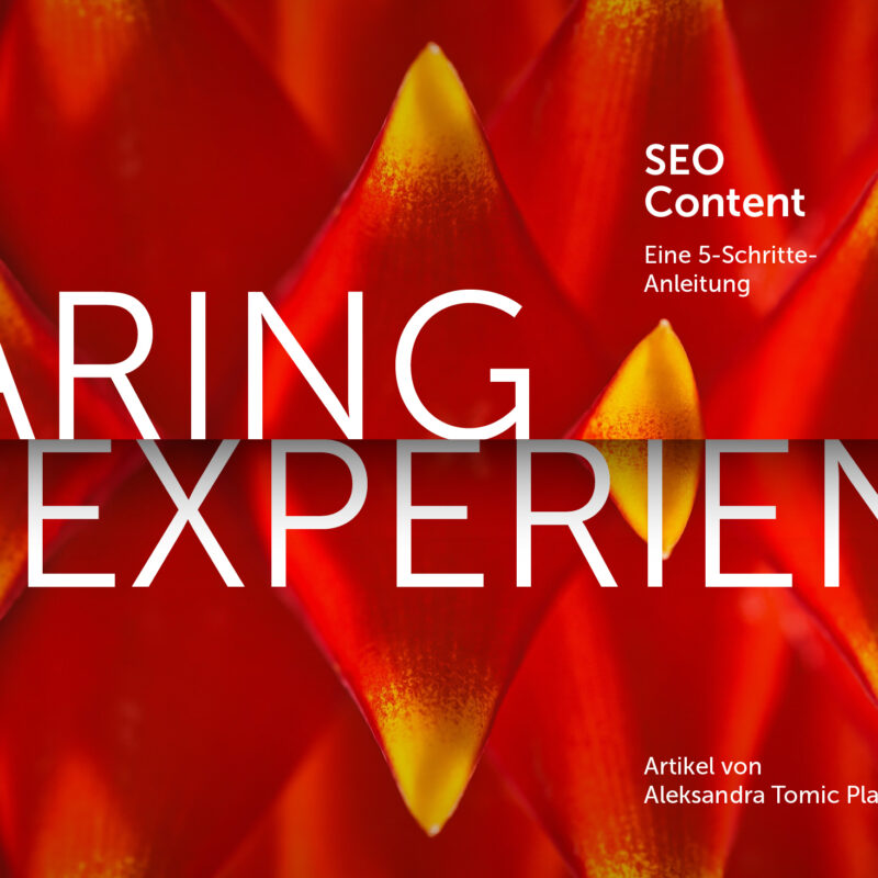 SEO Texte Anleitung