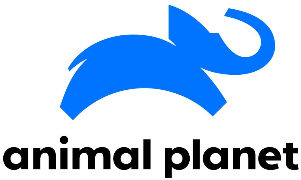 animal planet