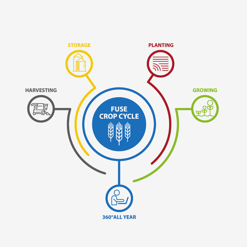 Fuse_Visual Identity_Infografik