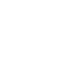 Erste Bank Logo