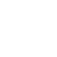 Plan International Logo