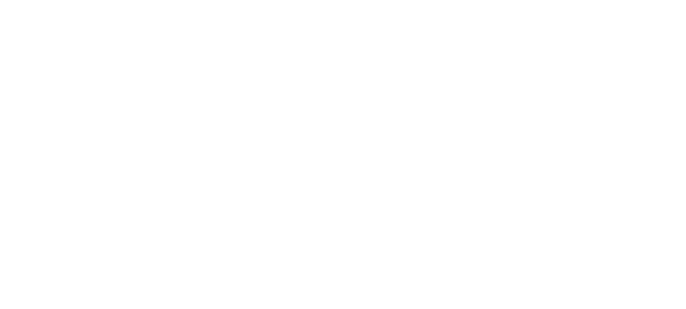 AEM Logo