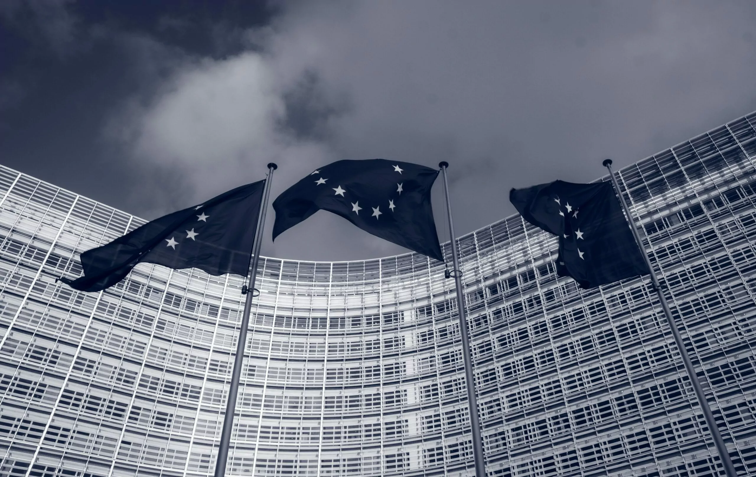EU-Fahnen vor dem Europäischen Parlament - Themenbild Barrierefreiheitsgesetz 2025