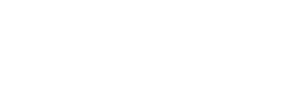 Logo WordPress